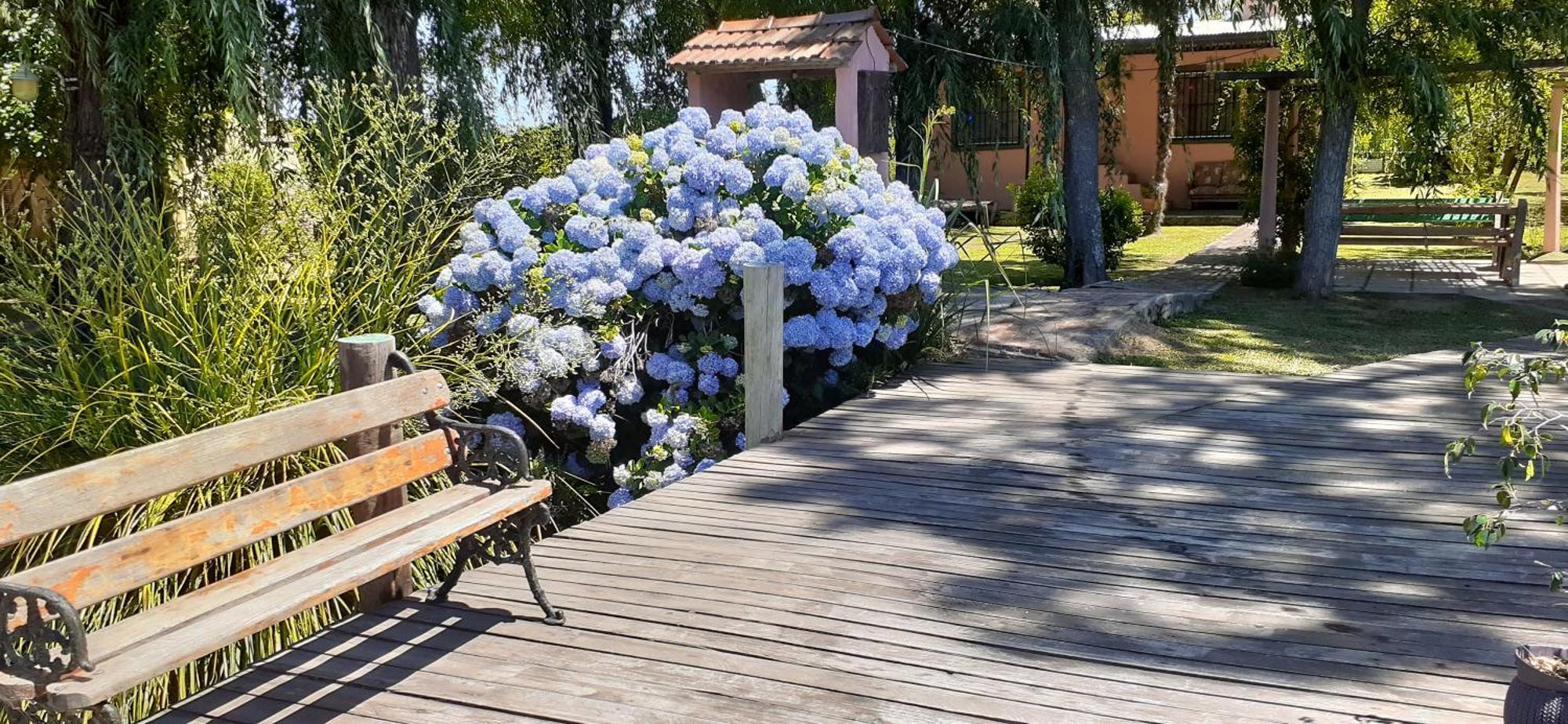 Villa Guitarra Negra Tigre Exterior foto